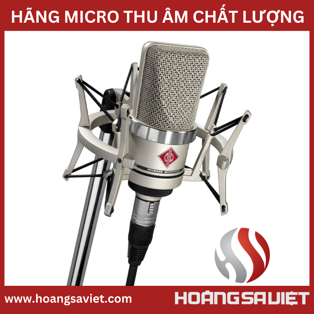 Neumann TLM102 . condenser microphone