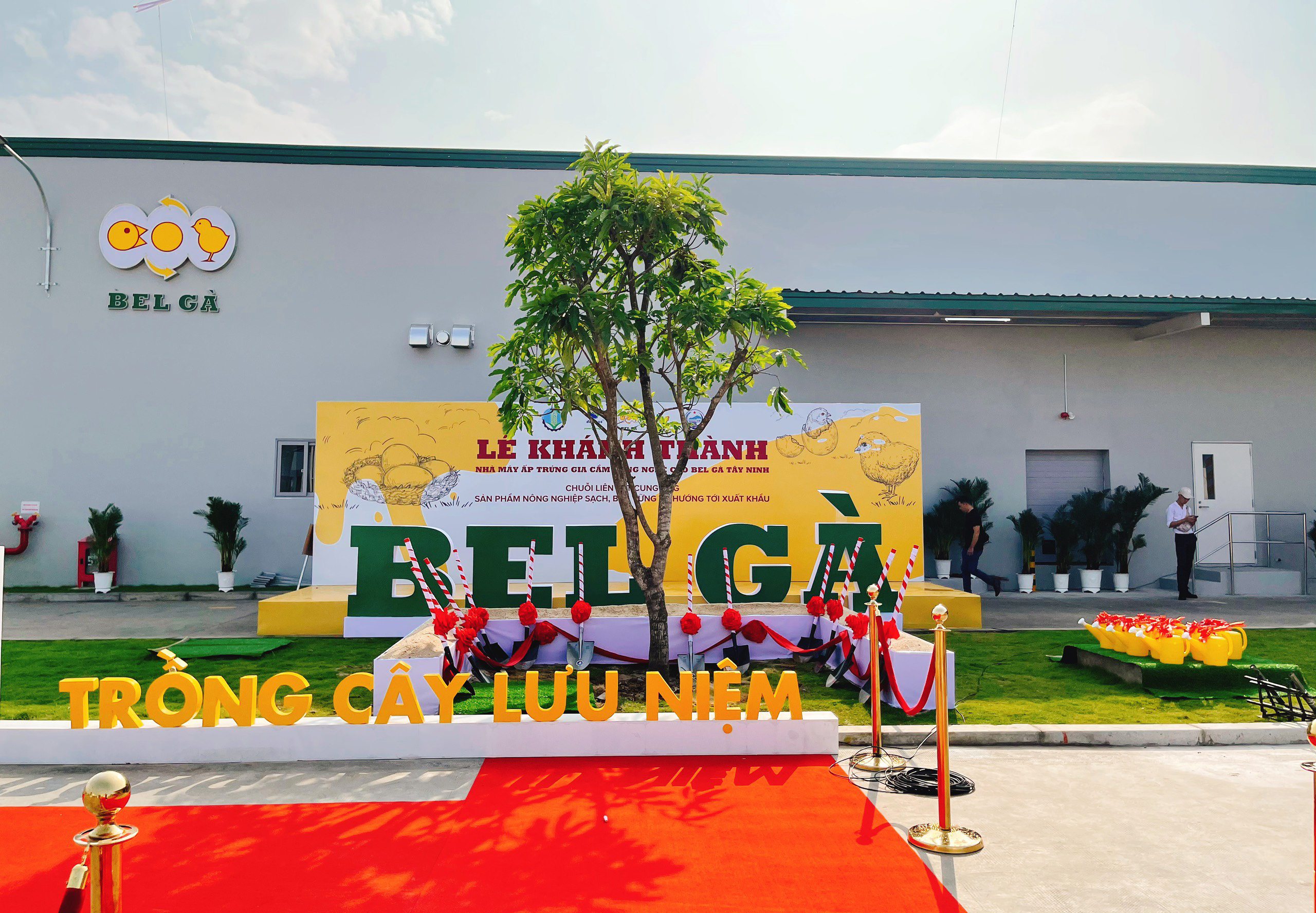 Backdrop sự kiện Backdrop sự kiện