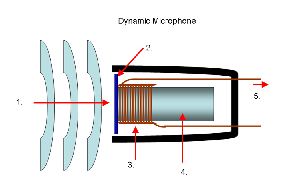 Cấu tạo micro dynamic Cấu tạo micro dynamic