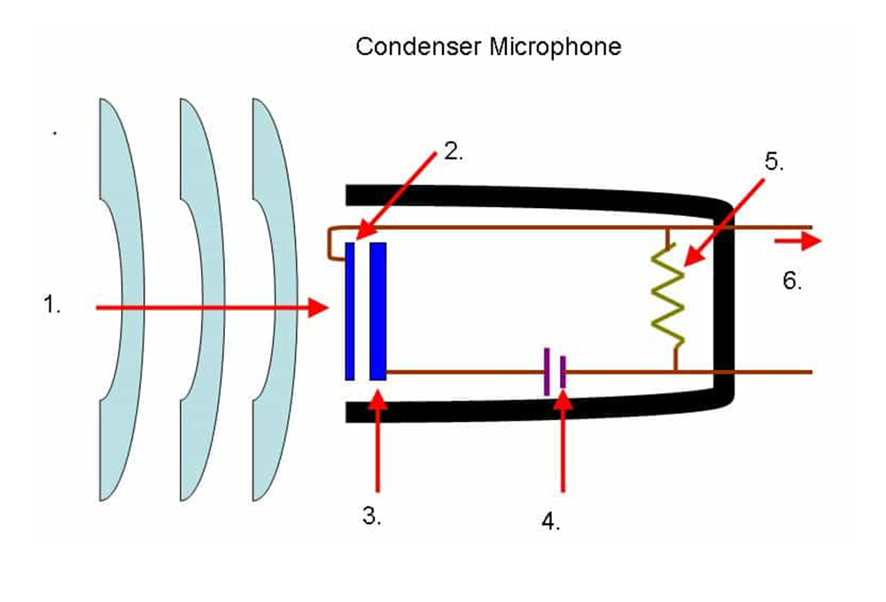 Cấu tạo bên trong micro condenser Cấu tạo bên trong micro condenser