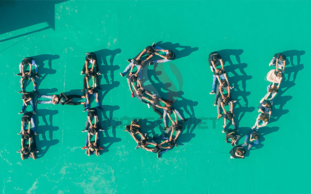 Công ty Hoàng Sa Việt