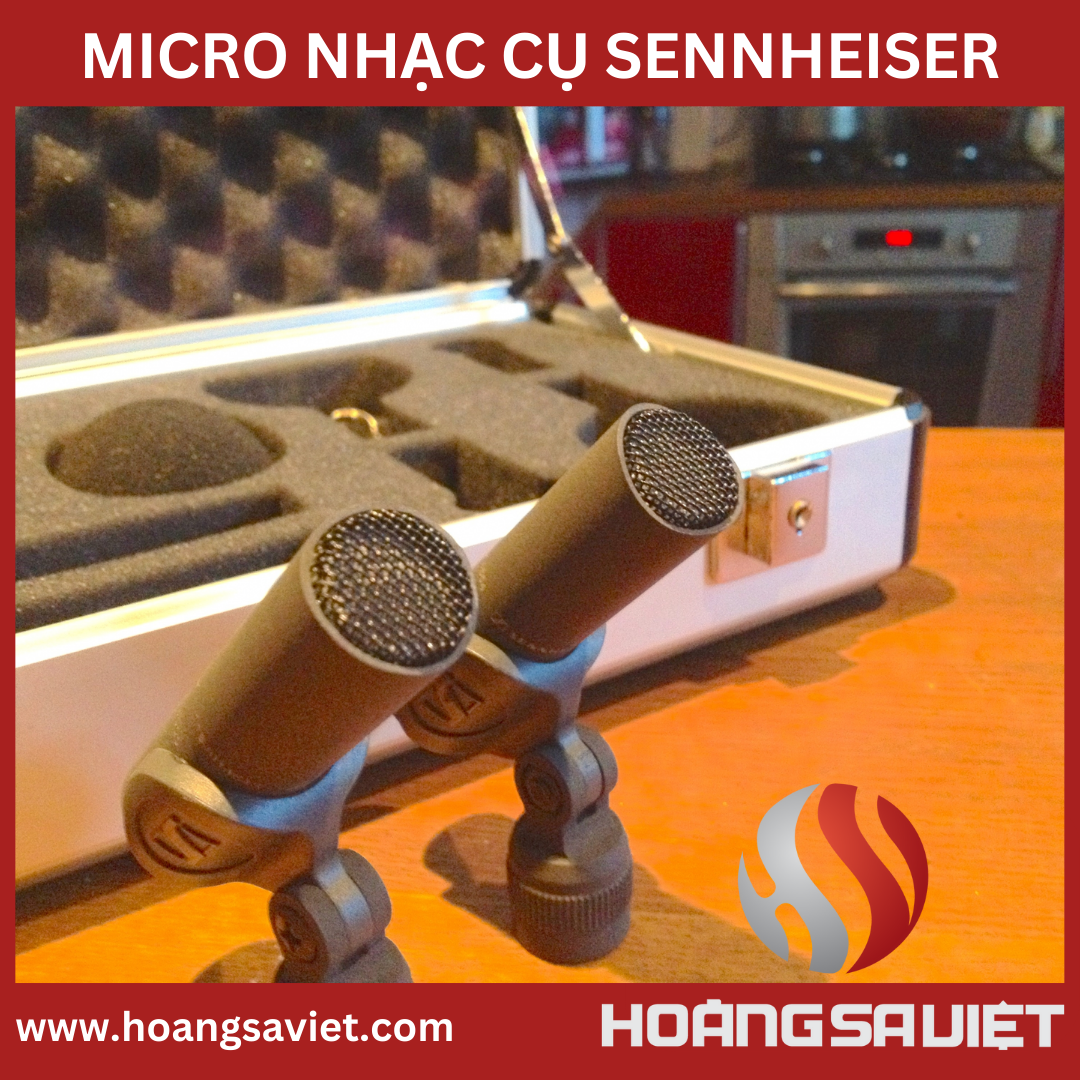 Sennheiser microphone mkh 8020