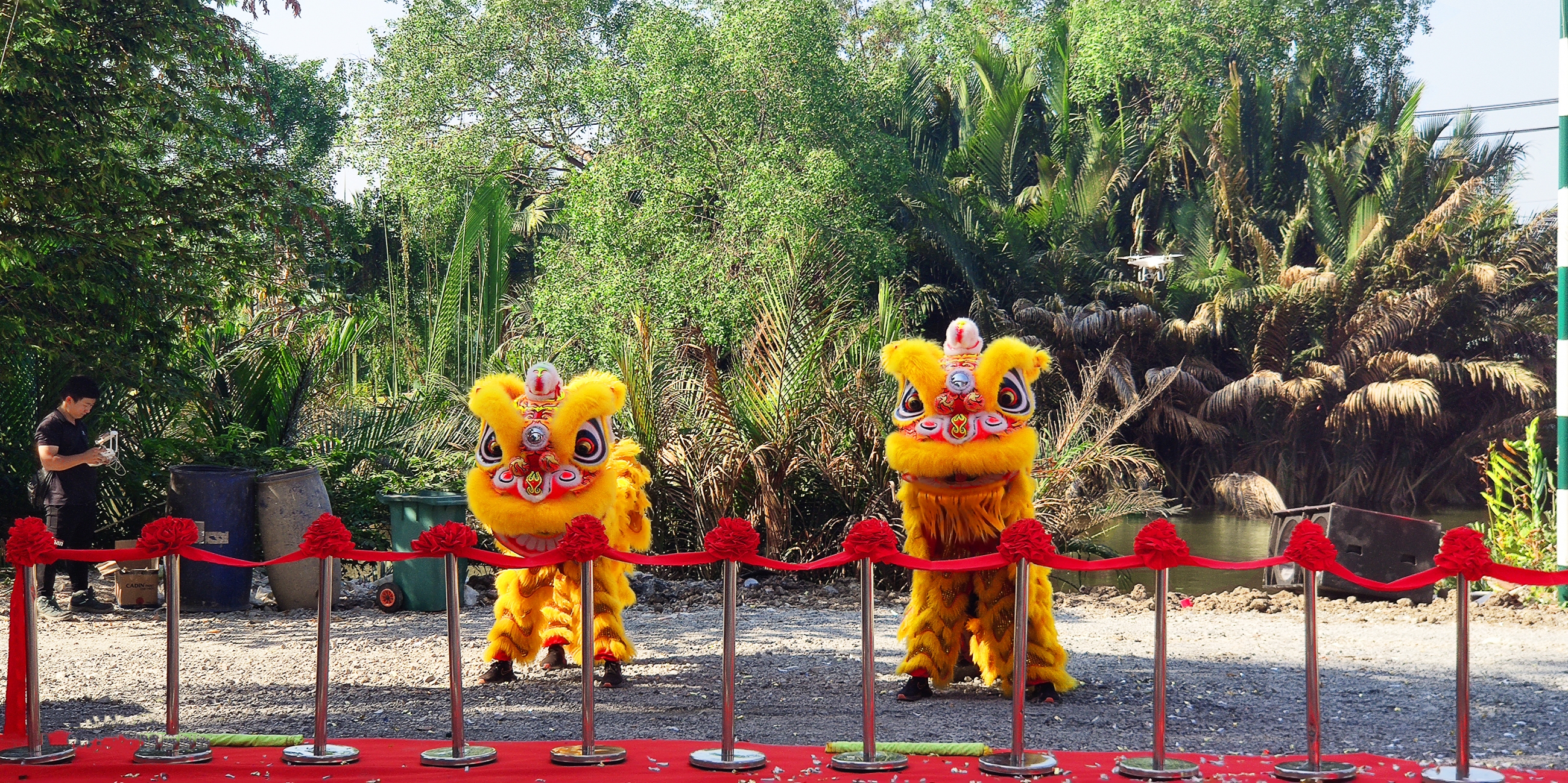 Nghi thức múa lân sư rồng Nghi thức múa lân sư rồng