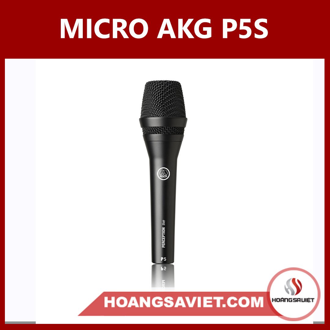 Micro AKG P5S