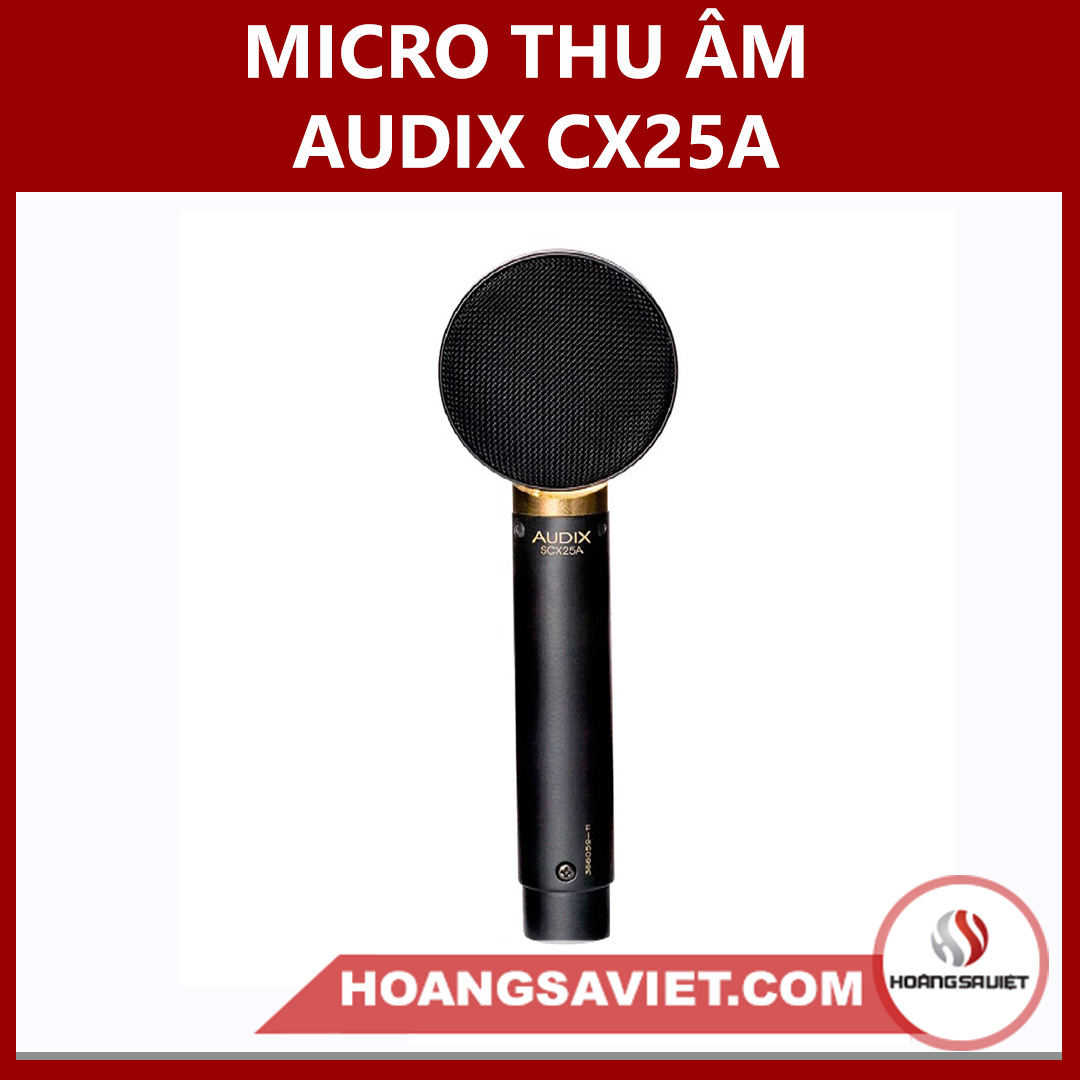 Micro Thu Âm Audix CX25A