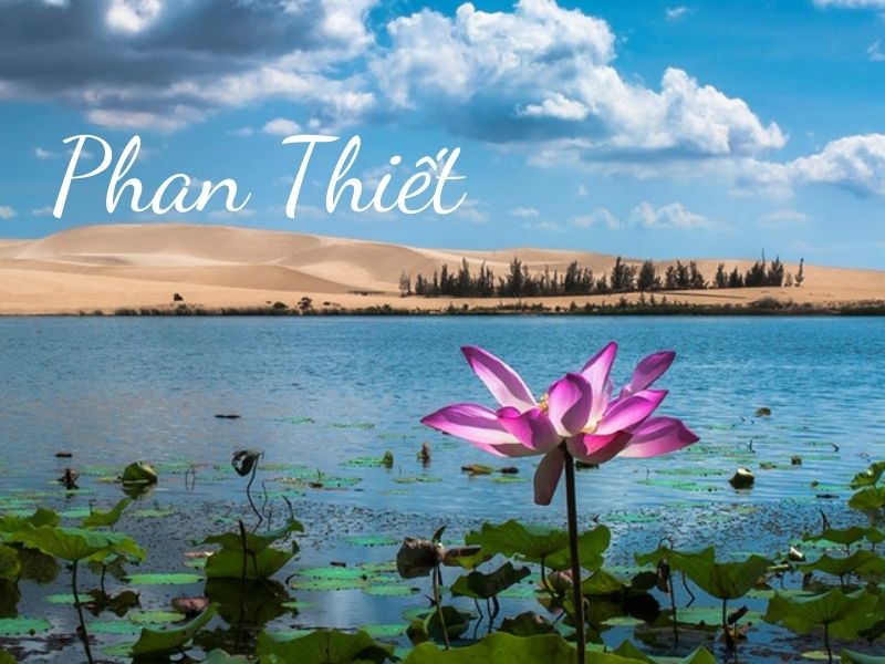 BÌNH THUẬN BÌNH THUẬN