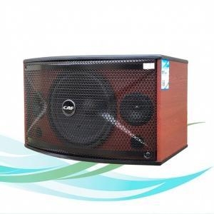 Loa CAF TW-3010 Loa CAF TW-3010