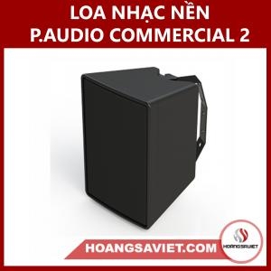 Loa Nhạc Nền (Công Cộng) P.audio Commercial Two Thái Lan Loa Nhạc Nền (Công Cộng) P.audio Commercial Two Thái Lan