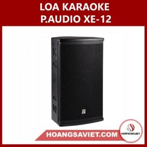 Loa Karaoke Xe-12 Hàng Chính Hãng, Chuyên Dụng Karaoke Kinh Doanh