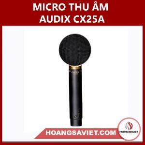 Micro Thu Âm Audix CX25A Micro Thu Âm Audix CX25A
